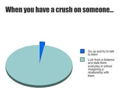 a pie chart with the words when you have a crush on someone