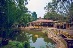 a pond surrounded by trees and benches with yellow railings on each side, in front of a pavilion