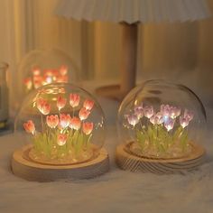 two clear glass vases with flowers in them on a white furnishing area