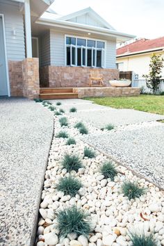 some rocks and plants in front of a house