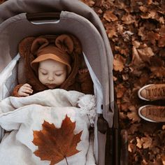 a baby is sleeping in a stroller with a leaf on it's blanket