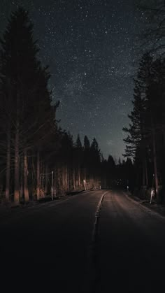 the night sky is lit up over a road with trees and snow on both sides