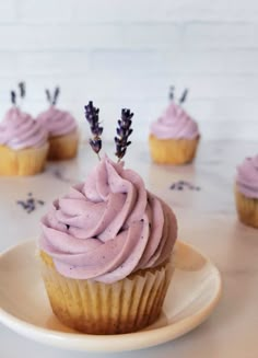 cupcakes with frosting and lavender sprinkles on a white plate