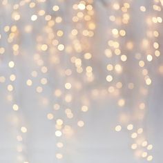 Christmas Bokeh Lights - HSD Photography Backdrops Winter Photo Booth, Photo Booth Props Christmas, Christmas Light Photography, Backgrounds Winter, Christmas Bokeh, Fall Backdrops, Best Christmas Tree, Lights Photography, Glitter Photography