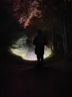 a person standing in the middle of a forest at night with their back turned to the camera