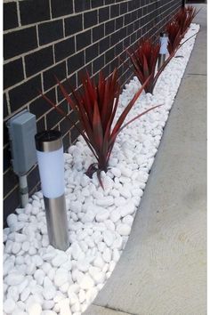 some plants and rocks are next to a brick wall on the side of a building