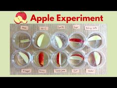 an apple experiment is shown in plastic containers