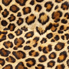 Luxury Leopard Animal Print Peel and Stick Wallpaper Animal Fur Texture, Elegant Vibes, Fur Texture, Animal Print Wallpaper, Animal Fur, Watercolor Wallpaper, Leopard Animal, Print Wallpaper, Wallpaper Panels