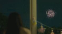 a woman looking at fireworks in the night sky