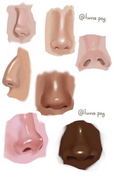 different types of nose shapes are shown in this drawing style, including the lips and noses