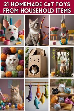 there are many pictures of cats and toys