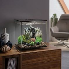 an aquarium is sitting on top of a wooden table next to a chair in a living room