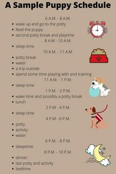 a poster with instructions on how to use the puppy schedule