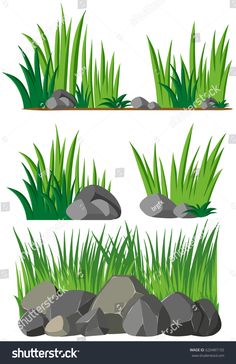 grass and rocks in different stages of growth on a white background, set of four views