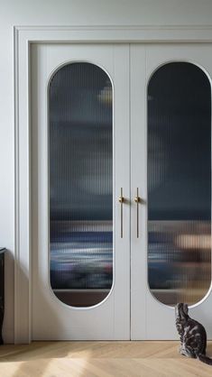 a cat sitting on the floor in front of a white door with two glass panels