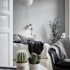 a bedroom with white walls, black and white furniture and cactus in the foreground