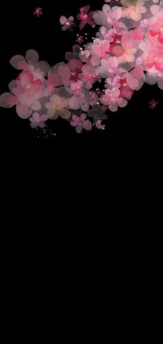 pink flowers floating in the air on a black background