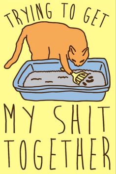 Katt Diy, Magnum Opus, Cat Shirt, E Card, Crazy Cat Lady, Funny Cat, Crazy Cats