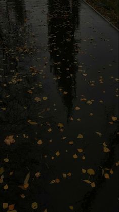 an umbrella sitting on the side of a wet road next to trees and leaves in the rain