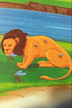 The dengue mosquito then quickly called the rest of his friends to see how he defeated the lion. So all the dengue mosquitoes came and started biting the lion. Lion Story, Children Stories, Tree Story, Healthy Horses, Horse Story, Kids Bedtime, Interesting Stories, Homeschool Kindergarten