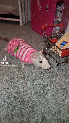 a small rat in a pink shirt next to a shopping cart