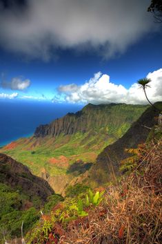 the ocean is in the distance with mountains and grass on both sides, and blue skies above