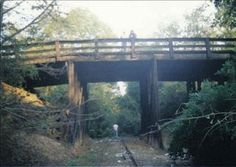 a man standing on top of a wooden bridge