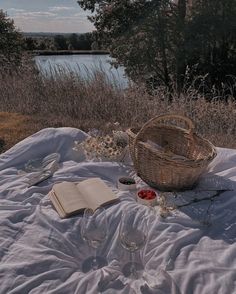 an open book and some wine glasses on a blanket near the water's edge