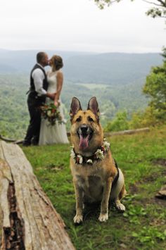 a dog sitting on top of a grass covered field next to a bride and groom