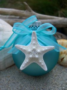 a starfish ornament sitting on top of a blue box next to seashells