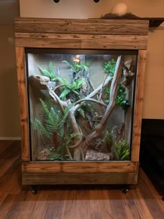 a fish tank filled with plants and rocks on top of a hard wood flooring