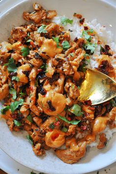 a white plate topped with rice and meat next to a spoon on top of it