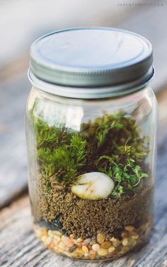 a jar filled with plants and rocks on top of a wooden table