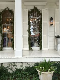 an instagram page with two windows and plants in the window sill, which are decorated with ivy