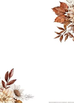 an image of flowers and leaves on a white background