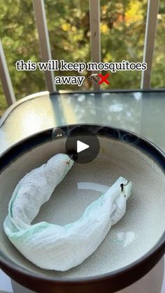 194K views · 22K reactions | Bet you didn't know about this hack! #hack#mosquitorepellent#mosquitohack #hacksandtips #grandmahacks | KUBRA | Motherhood Diy Bug Repellent, Mosquito Repellent Homemade, Old Fashioned Bread Pudding, Deodorant Recipes, Natural Bug Repellent, Natural Mosquito Repellant, Kill Mosquitos, Diy Pest Control, Shoo Fly