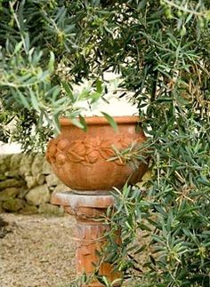 an orange planter sitting on top of a wooden post next to a green bush