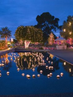 a pond filled with lots of lights next to trees