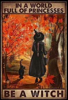 a poster with an image of a witch and her cat