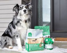 a dog sitting in front of a door with two bags of food next to it