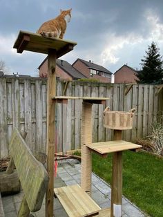 a cat sitting on top of a wooden bird house