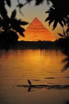 an image of the great pyramid at sunset from across the water with trees in foreground