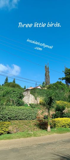 there is a sign that says three little birds on the side of a hill with trees and bushes