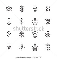 different types of plants and leaves in black on a white background, set of nine