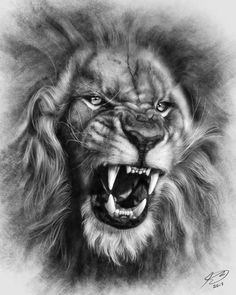 a black and white drawing of a lion's face with its mouth open, showing teeth