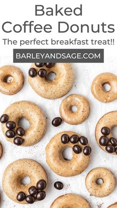 baked coffee donuts with chocolate chips on top