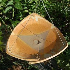 an upside down bird feeder hanging from a tree branch in front of some green bushes