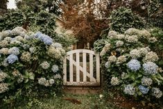 a white gate surrounded by bushes and flowers