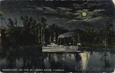 the moonlit on the st johns river, florida is lit up by boats in the water