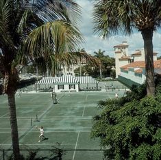 people playing tennis on an outdoor court with palm trees in the foreground and buildings in the background